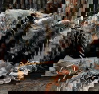 Geckostrands Textile Artist - Accommodation Whitsundays