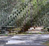 Goonoowigall State Conservation Area - Accommodation Whitsundays
