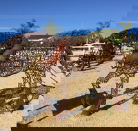 Gundersen Reserve - Accommodation Whitsundays