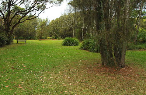 Hammerhead Point Picnic Area - Accommodation Whitsundays 0