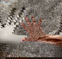 Hands of Fame Park - Accommodation Whitsundays