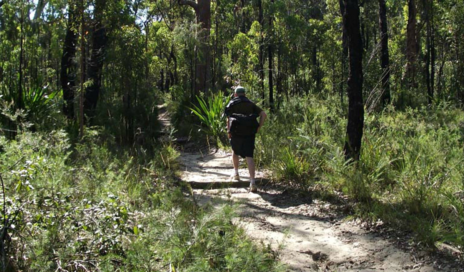 Woronora Heights NSW Accommodation Whitsundays