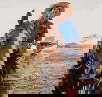 Katherine Outback Experience - Horse Riding Experience - Accommodation Whitsundays