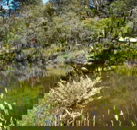 Kurth Kiln Regional Park - Accommodation Whitsundays