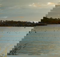 Lake Inverell Reserve - Accommodation Whitsundays