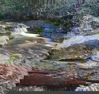 Liffey Falls Reserve - Accommodation Whitsundays