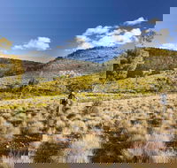 Little Mountain Walking Track - Accommodation Whitsundays