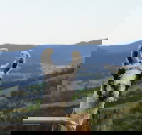 Llama Walks Tasmania - Accommodation Whitsundays