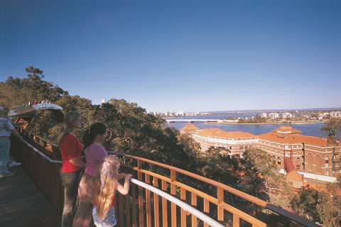 Lotterywest Federation Walkway - Kings Park - Accommodation Whitsundays 0