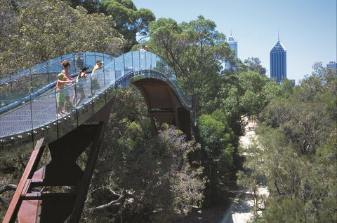 Lotterywest Federation Walkway - Kings Park - Accommodation Whitsundays 1