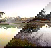 McClelland Sculpture Park  Gallery - Accommodation Whitsundays