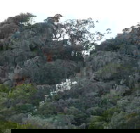 Mount Yarrowyck Nature Reserve - Accommodation Whitsundays