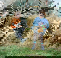 Rain Hayne and Shine Farmyard - Accommodation Whitsundays