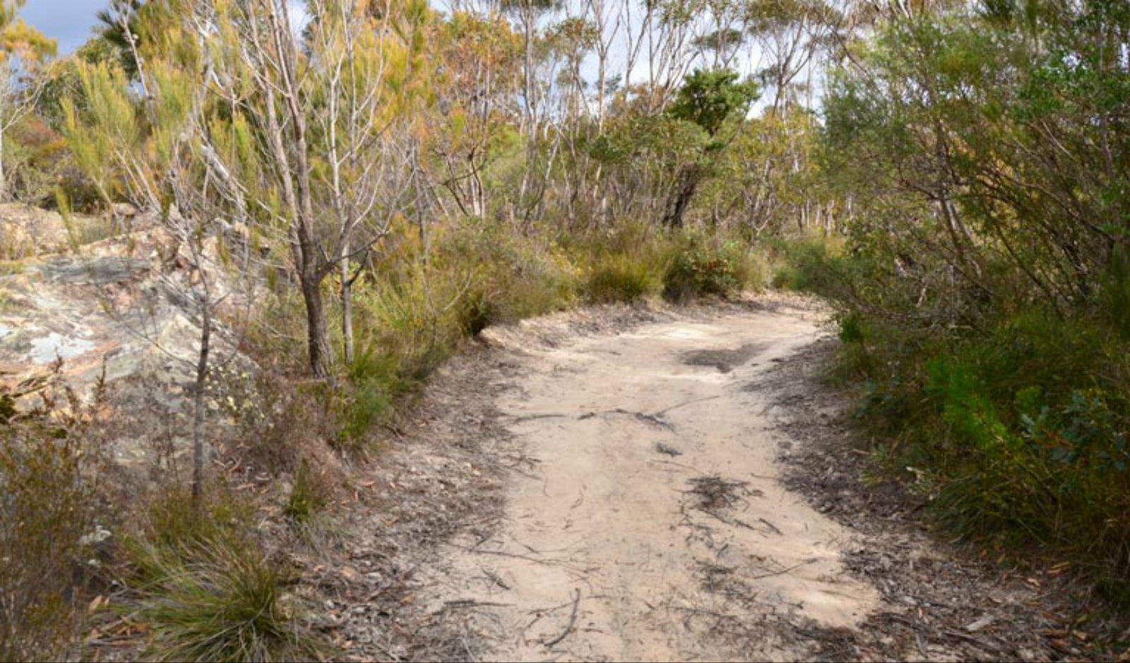 Browns Mountain NSW Accommodation Whitsundays
