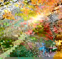The Blue Mountains Botanic Garden Mount Tomah - Accommodation Whitsundays