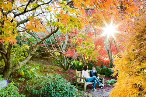 The Blue Mountains Botanic Garden, Mount Tomah - Accommodation Whitsundays 0