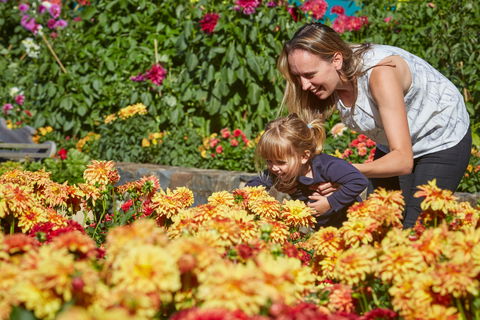 The Blue Mountains Botanic Garden, Mount Tomah - Accommodation Whitsundays 1