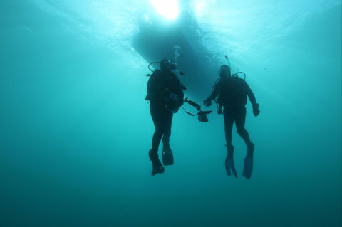 The Arches Marine Sanctuary - Accommodation Whitsundays 0