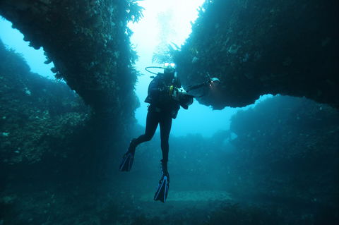 The Arches Marine Sanctuary - Accommodation Whitsundays 1