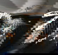 UNE Natural History Museum - Accommodation Whitsundays