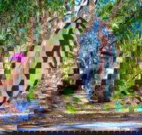 Wagirra Trail and Yindyamarra Sculpture Walk - Accommodation Whitsundays
