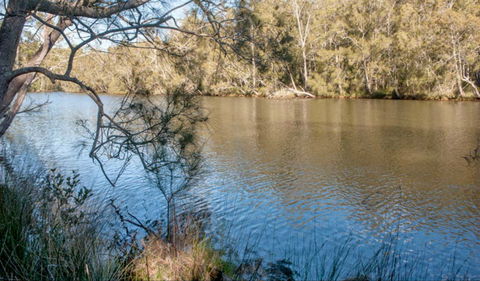 Wandandian Creek Picnic Area - Accommodation Whitsundays 0
