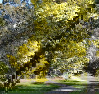 Wattle Park - Accommodation Whitsundays