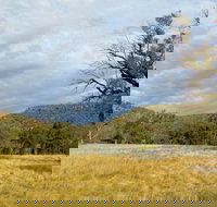 Weddin Mountains National Park - Accommodation Whitsundays