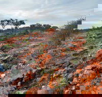 Western Ridge Walk - Accommodation Whitsundays