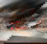 Australian Fly Fishing Museum - Accommodation Whitsundays