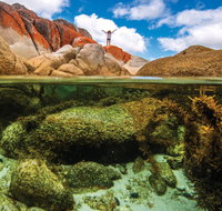 Bay of Fires - Accommodation Whitsundays