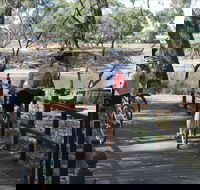 Bidgee Riverside Trail  - Hay Nature Walk - Accommodation Whitsundays