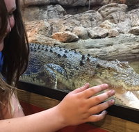 Canberra Reptile Zoo - Accommodation Whitsundays