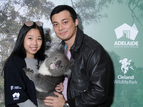 Cleland Wildlife Park - Koala Hold - Accommodation Whitsundays 0