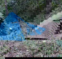 England Creek Bush Camp - Accommodation Whitsundays