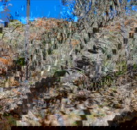 Eualdrie Walking Track - Accommodation Whitsundays