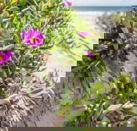 Fort Bribie - Accommodation Whitsundays