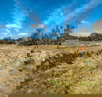 Goldseekers track - Accommodation Whitsundays