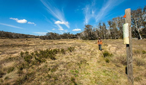 Goldseekers Track - Accommodation Whitsundays 0