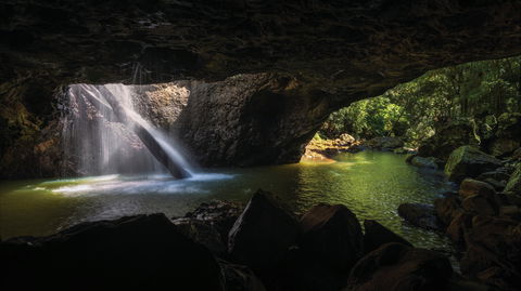 Gondwana Rainforests Of Australia World Heritage Area - Accommodation Whitsundays 0