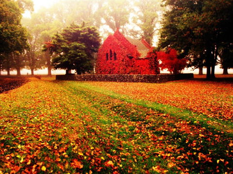 Gostwyck Chapel - Accommodation Whitsundays 0