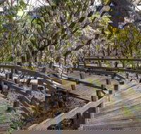 Governor Summit Corrunbral Borawah Walking Track - Accommodation Whitsundays