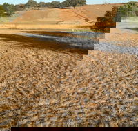 Gunning Golf Club - Accommodation Whitsundays