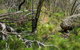 Hopetoun Falls Walking Track - thumb 0