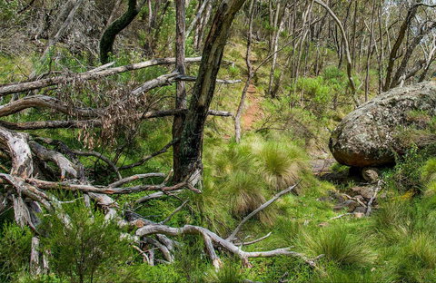 Hopetoun Falls Walking Track - Accommodation Whitsundays 0