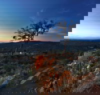 Kalamunda National Park - Accommodation Whitsundays