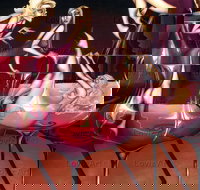 Loviz Arts Gallery - Accommodation Whitsundays