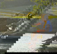 Lovedale - Accommodation Whitsundays