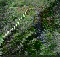 Mapleton Falls National Park - Accommodation Whitsundays