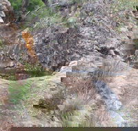 Mill-bullah Walking Track - Accommodation Whitsundays